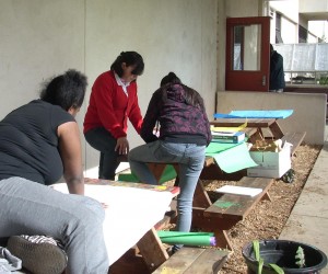Compost education project